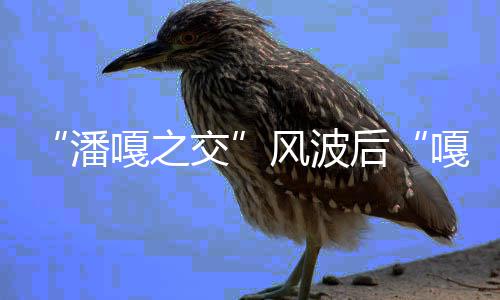 谢潘孟伟带货直播再被后嘎之嘎子交风波封