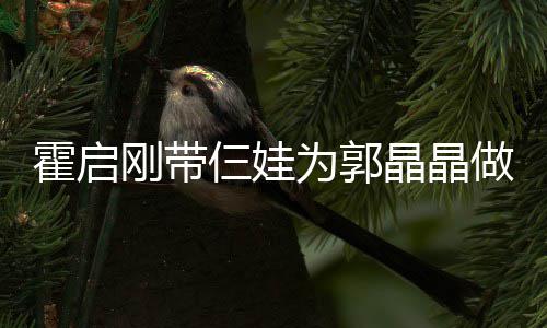 亲节其乐蛋糕做母霍启刚带晶晶家人为郭融融仨娃 一
